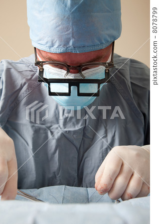 Veterniarian performing spay operation on dog 8078799