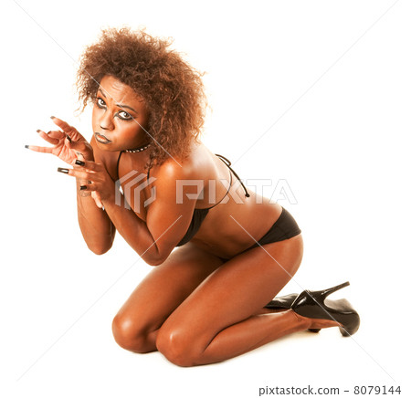 Beautiful African-American Cat Woman 8079144
