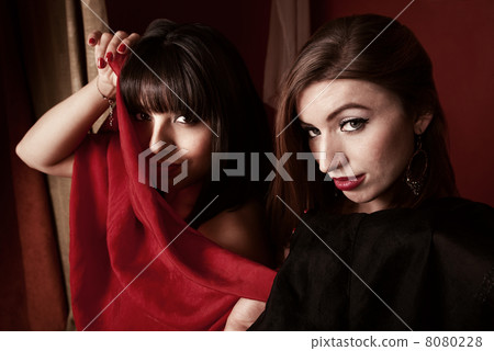Beautiful Belly Dancers 8080228