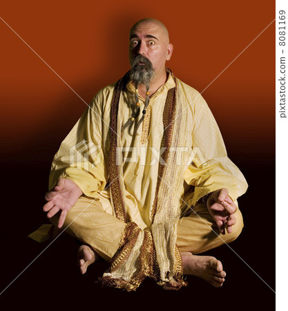 Funny Guru 8081169