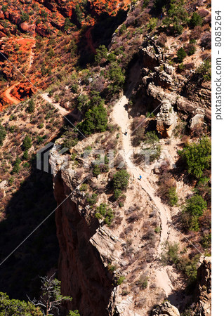 Hikers on Bright Angel trail in the Grand Canyon 8085264