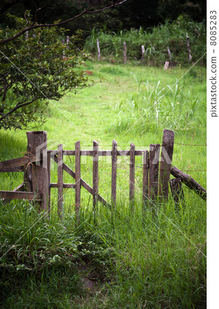 Scenic Gate in Costa Rica Scenic Gate in Costa Rica 8085283