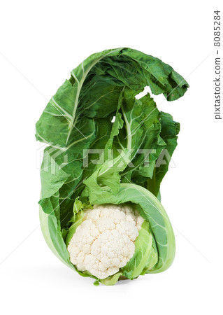 Cauliflower Cauliflower 8085284