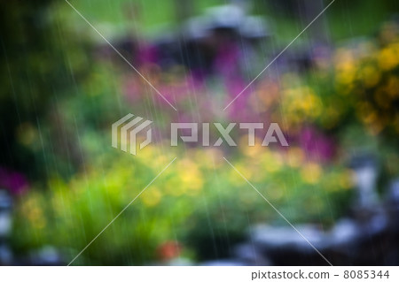 Closeup of rain 8085344