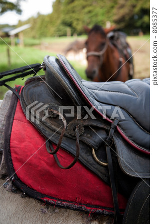 Detail of saddle 8085377