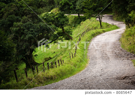 Windy Costa Rica road 8085647