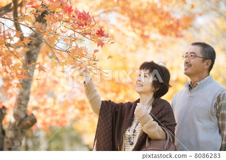 看秋葉的資深夫婦 8086283