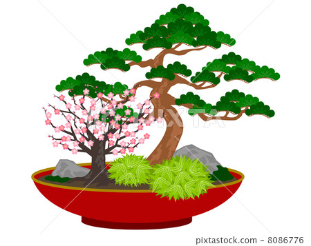 Shochiku Mei Shochiku Mei 8086776