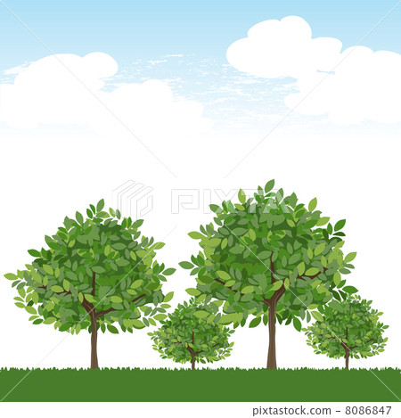 樹風景天空 8086847