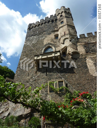 Rheinstein Castle Rheinstein Castle 8087168