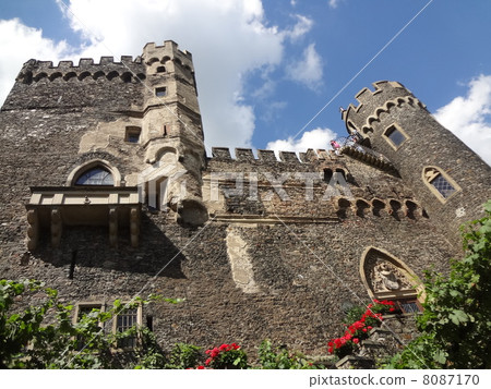 Rheinstein Castle Rheinstein Castle 8087170