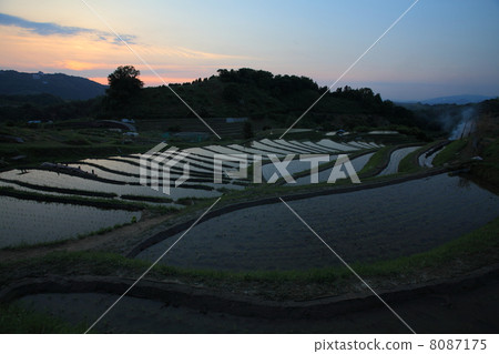 Chihaya Akasaka村的水稻露台 8087175