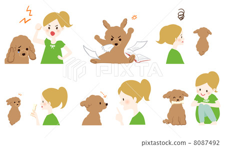 Fighting toy poodle and girl 8087492