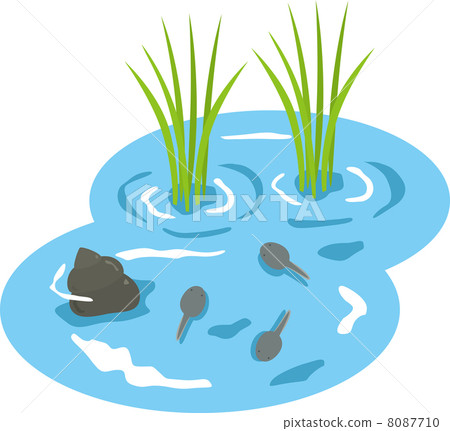 蝌蚪和Tanishi 蝌蚪和Tanishi 8087710