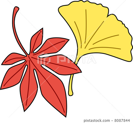 楓樹和海urchan 8087844