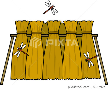 Rice hung dry 8087974