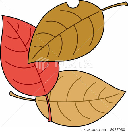 秋葉落葉 8087980