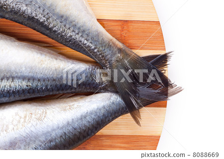 close up of Fish tails 8088669