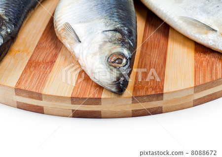 close up of fish head close up of fish head 8088672