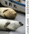密封_ 03 8089490