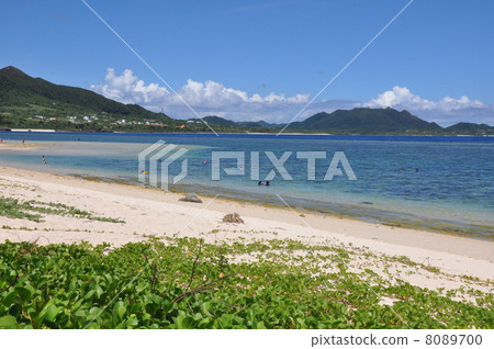 Maibara海灘 8089700