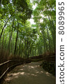 Arashiyama bamboo grove path 8089965