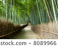 Arashiyama bamboo grove path 8089966