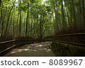 Arashiyama bamboo grove path 8089967