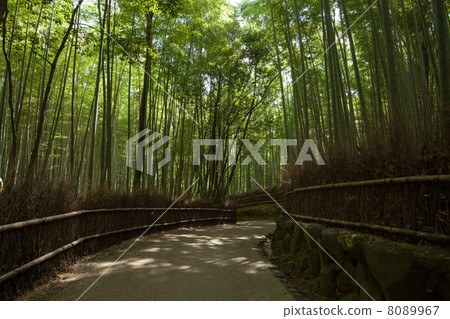 Arashiyama bamboo grove path Arashiyama bamboo grove path 8089967