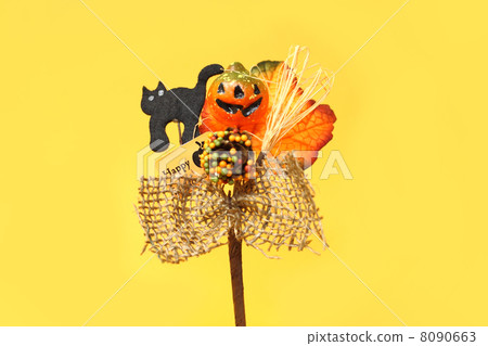 Halloween pick squirrel and black cat 8090663