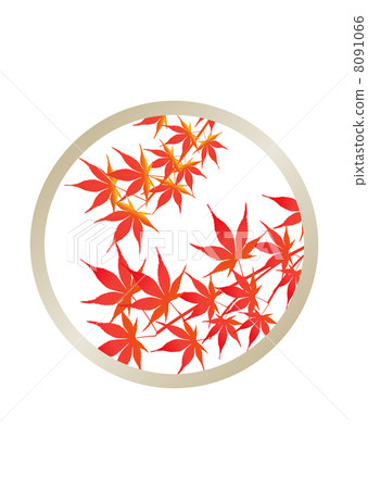 Marugame autumn leaves illustration Marugame autumn leaves illustration 8091066