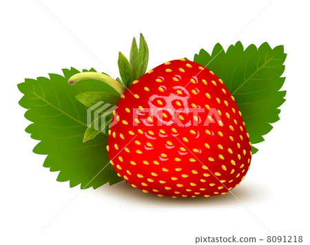 Strawberry with leaves . Vector. Strawberry with leaves . Vector. 8091218