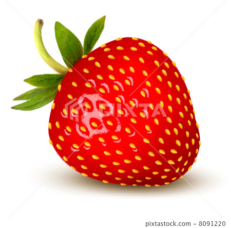 Strawberry. Vector. Strawberry. Vector. 8091220