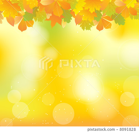 autumn leaves 8091828