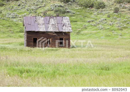 Old Homestead 8092043