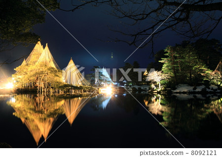 Kenrokuen Light Up (Karasaki Matsuyama Hanging and Horai Island) Kenrokuen Light Up (Karasaki Matsuyama Hanging and Horai Island) 8092121