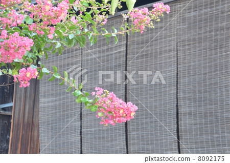 Salisbury Salisbury 8092175