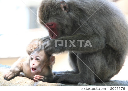 Parent and child's bond Parent and child's bond 8092376