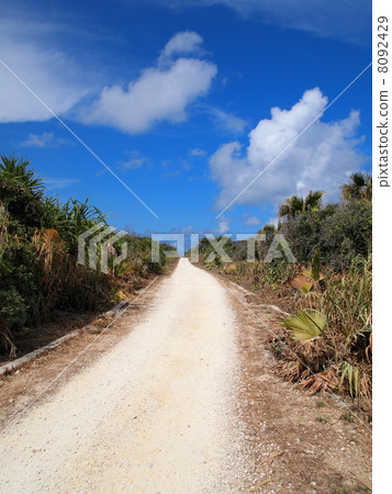 Okinawa: The road to Kubakijima and Cape Town 8092429