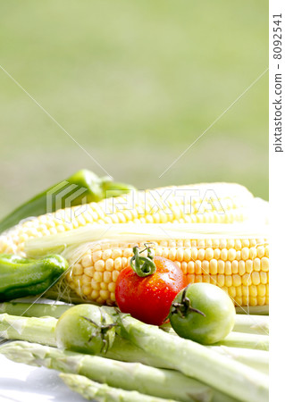 西紅柿和夏季蔬菜 西紅柿和夏季蔬菜 8092541