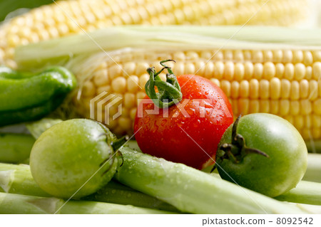 西紅柿和夏季蔬菜 西紅柿和夏季蔬菜 8092542