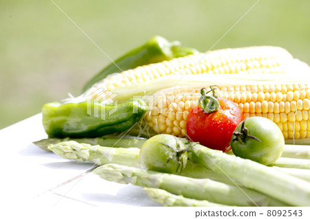 西紅柿和夏季蔬菜 西紅柿和夏季蔬菜 8092543