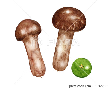 秋天的味道 8092736