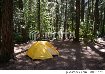 Camp at Yosemite National Park 8092779