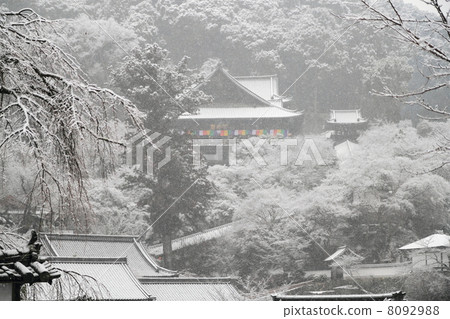 Snowscape Hasedanji主殿 8092988