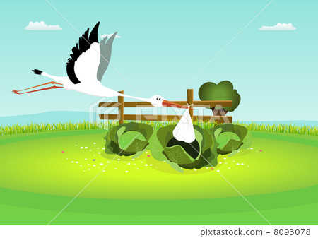 Stork Delivering Baby In Cabbage 8093078