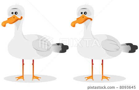 Funny Cute Seagull Funny Cute Seagull 8093645