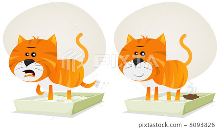 Cat Litter, Before And After 8093826