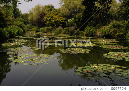 睡蓮莫奈的花園高知縣北川村 8097524