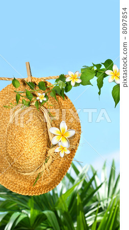Summer straw hat with frangipani flowers on clothesline 8097854